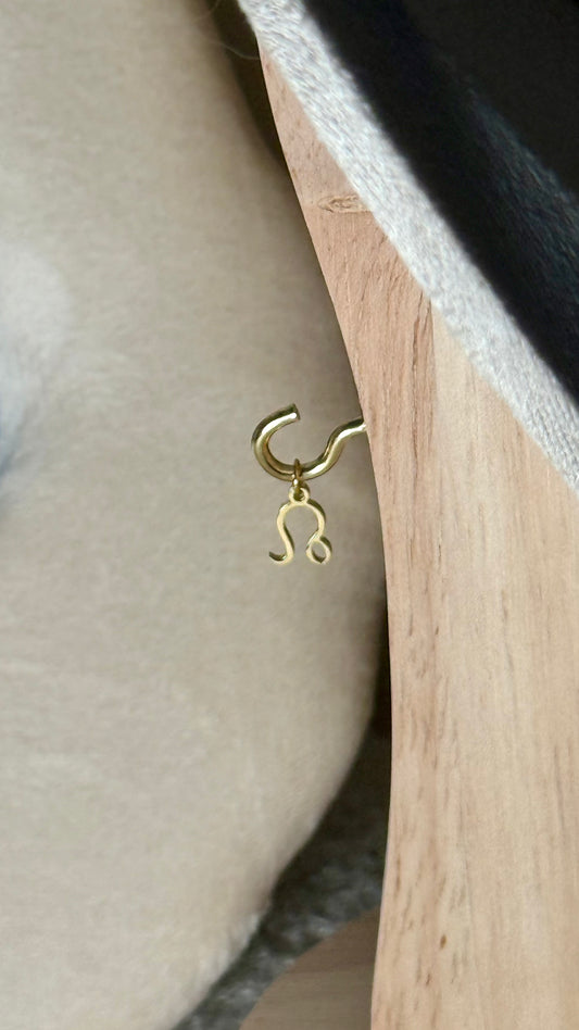 Charm signe lion