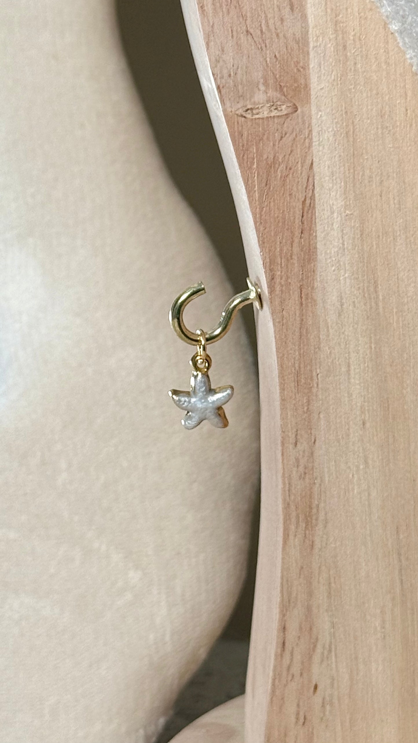 Charm étoile de mer blanche