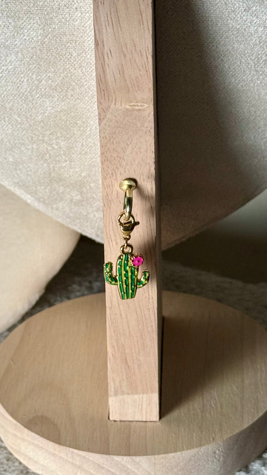 Charm cactus