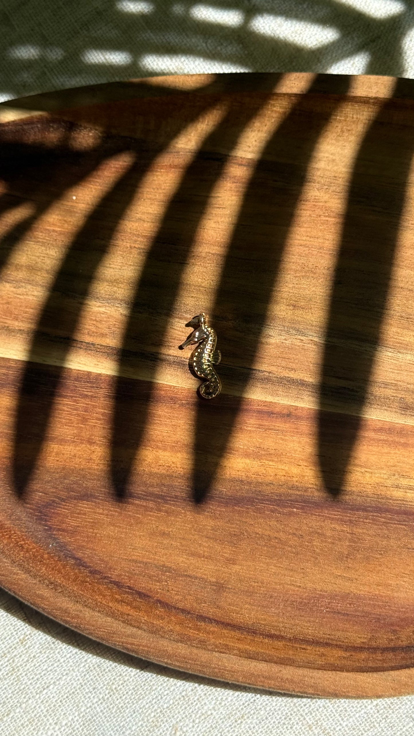 Charm hippocampe