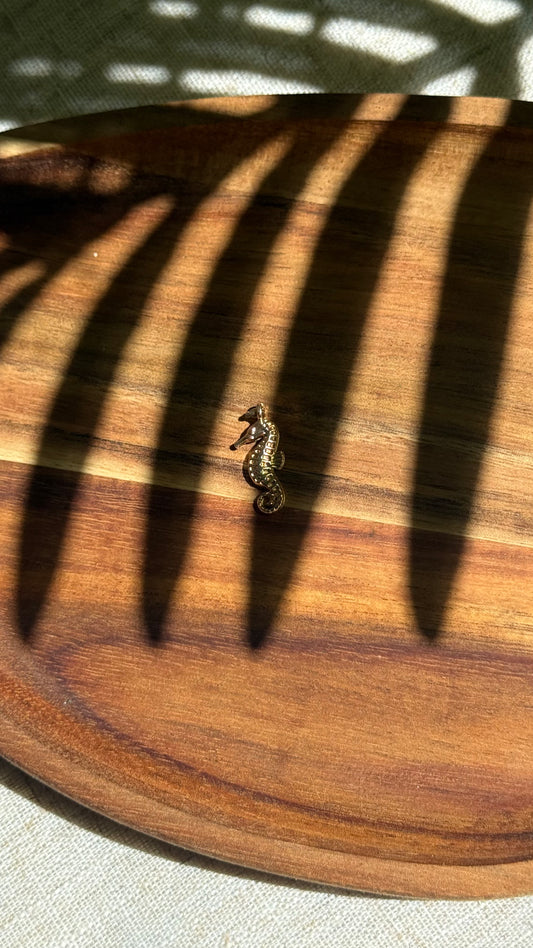 Charm hippocampe