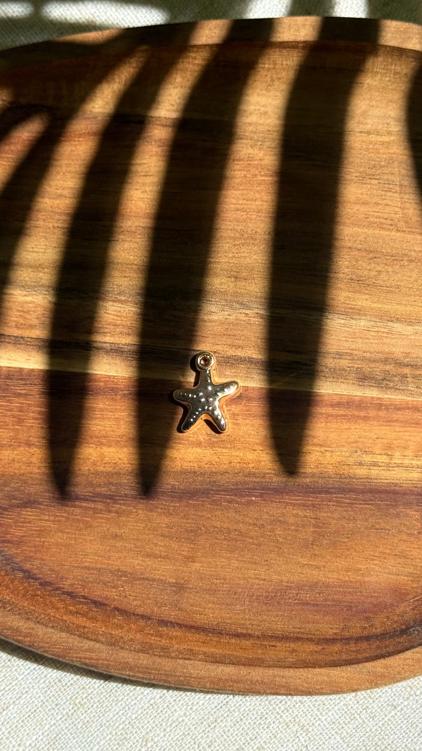 Charm étoile de mer