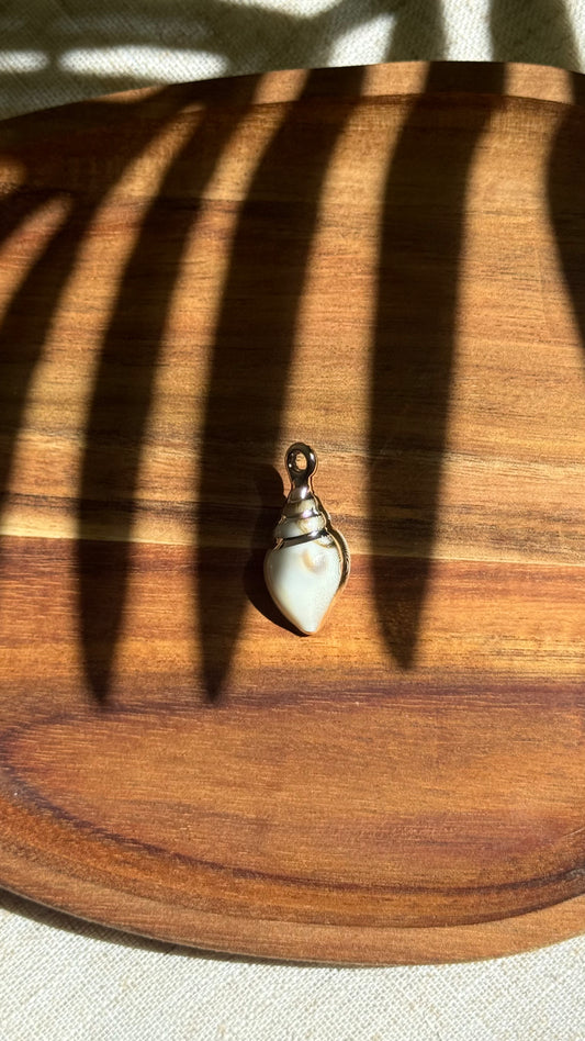 Charm coquillage