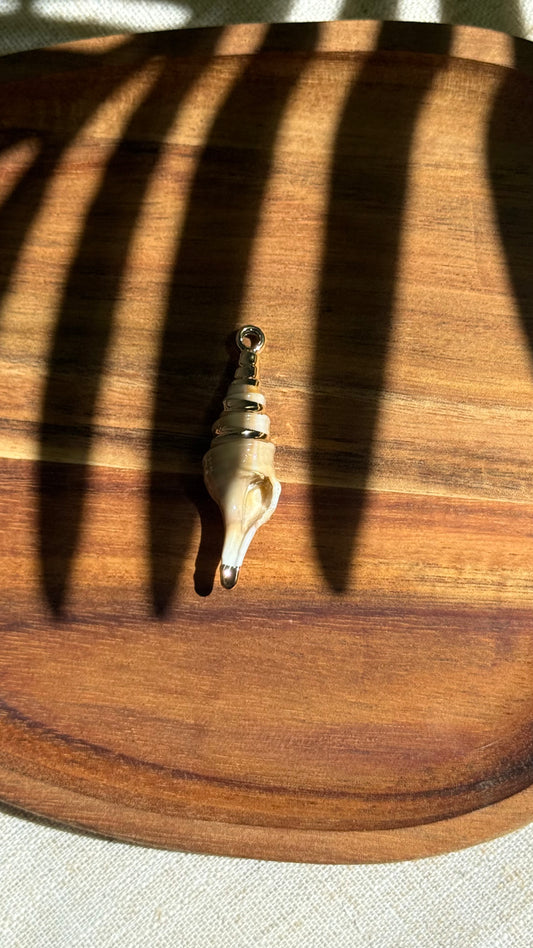 Charm coquillage long
