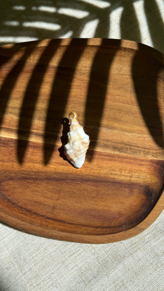 Charm coquillage
