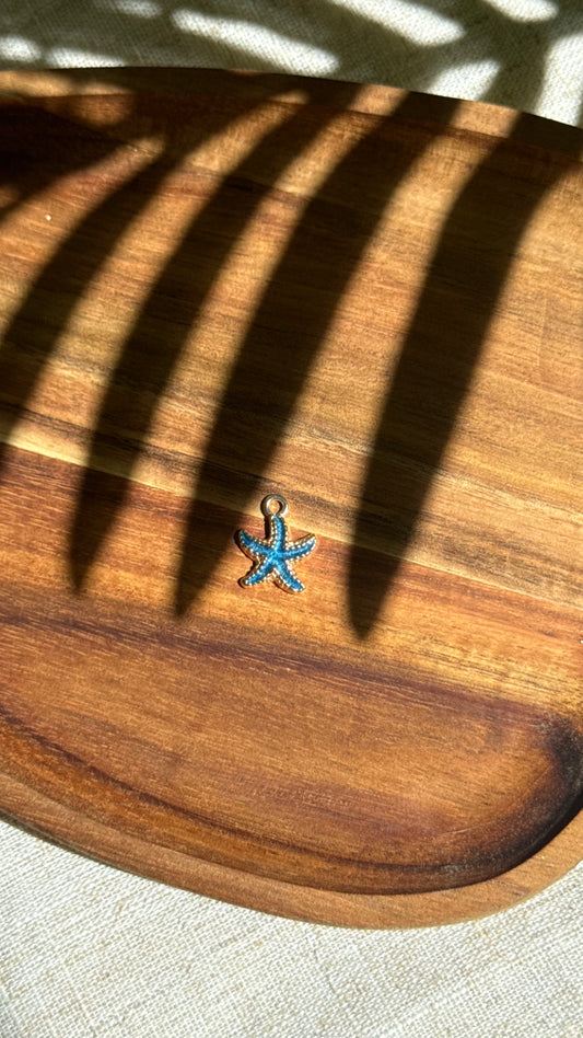 Charm étoile de mer bleue