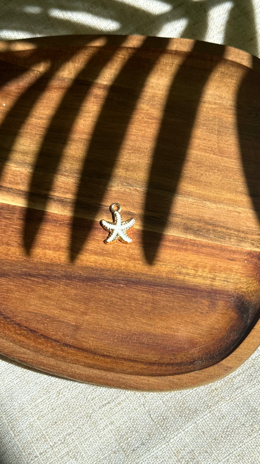 Charm étoile de mer blanche