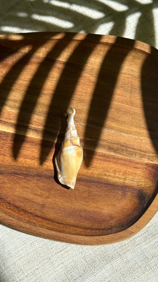 Charm coquillage
