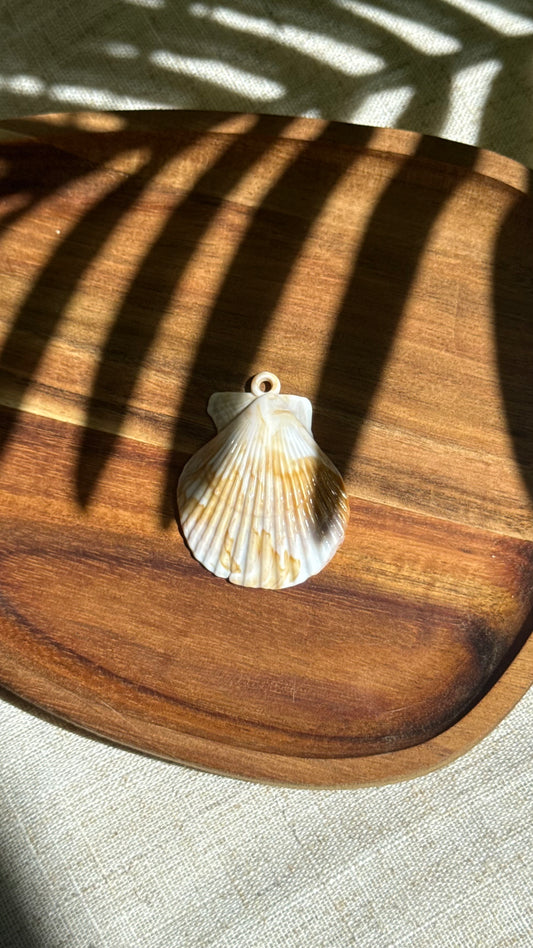 Charm coquillage plat
