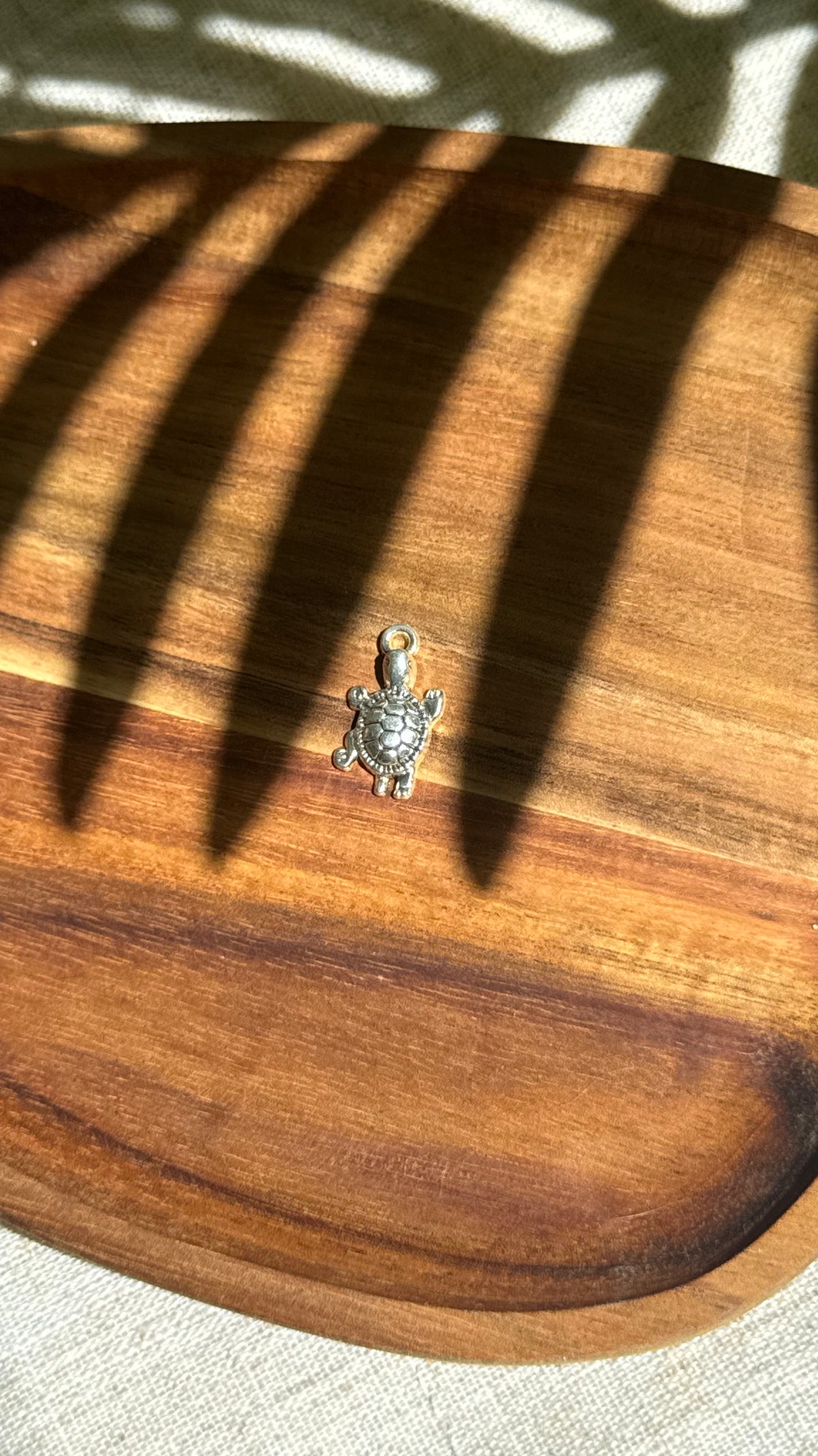 Charm tortue